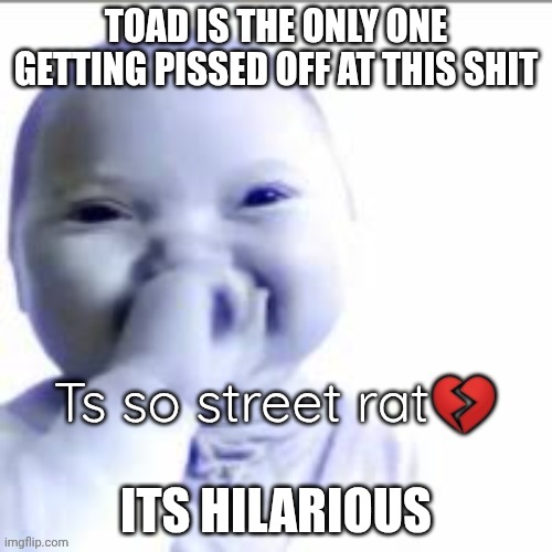 Anger problems much? | TOAD IS THE ONLY ONE GETTING PISSED OFF AT THIS SHIT; ITS HILARIOUS | image tagged in ts so street rat | made w/ Imgflip meme maker