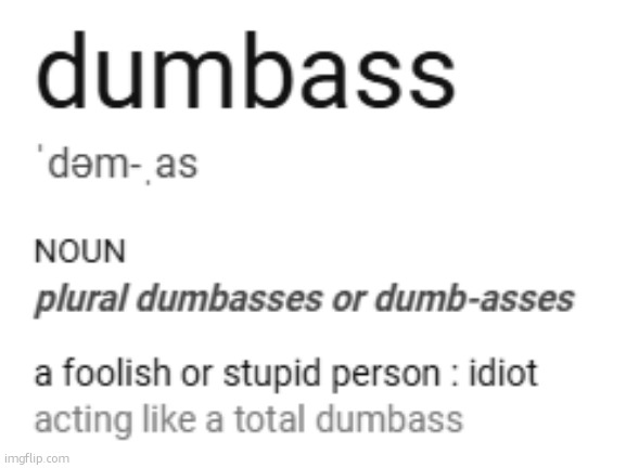 dumbass definition | image tagged in dumbass definition | made w/ Imgflip meme maker