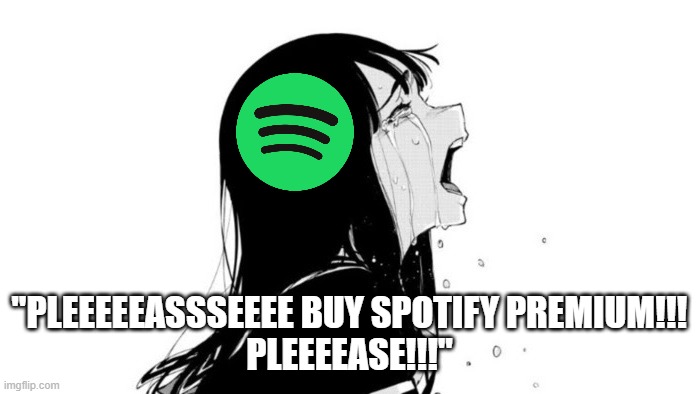 "PLEEEEEASSSEEEE BUY SPOTIFY PREMIUM!!!
PLEEEEASE!!!" | image tagged in crying aya asagiri | made w/ Imgflip meme maker