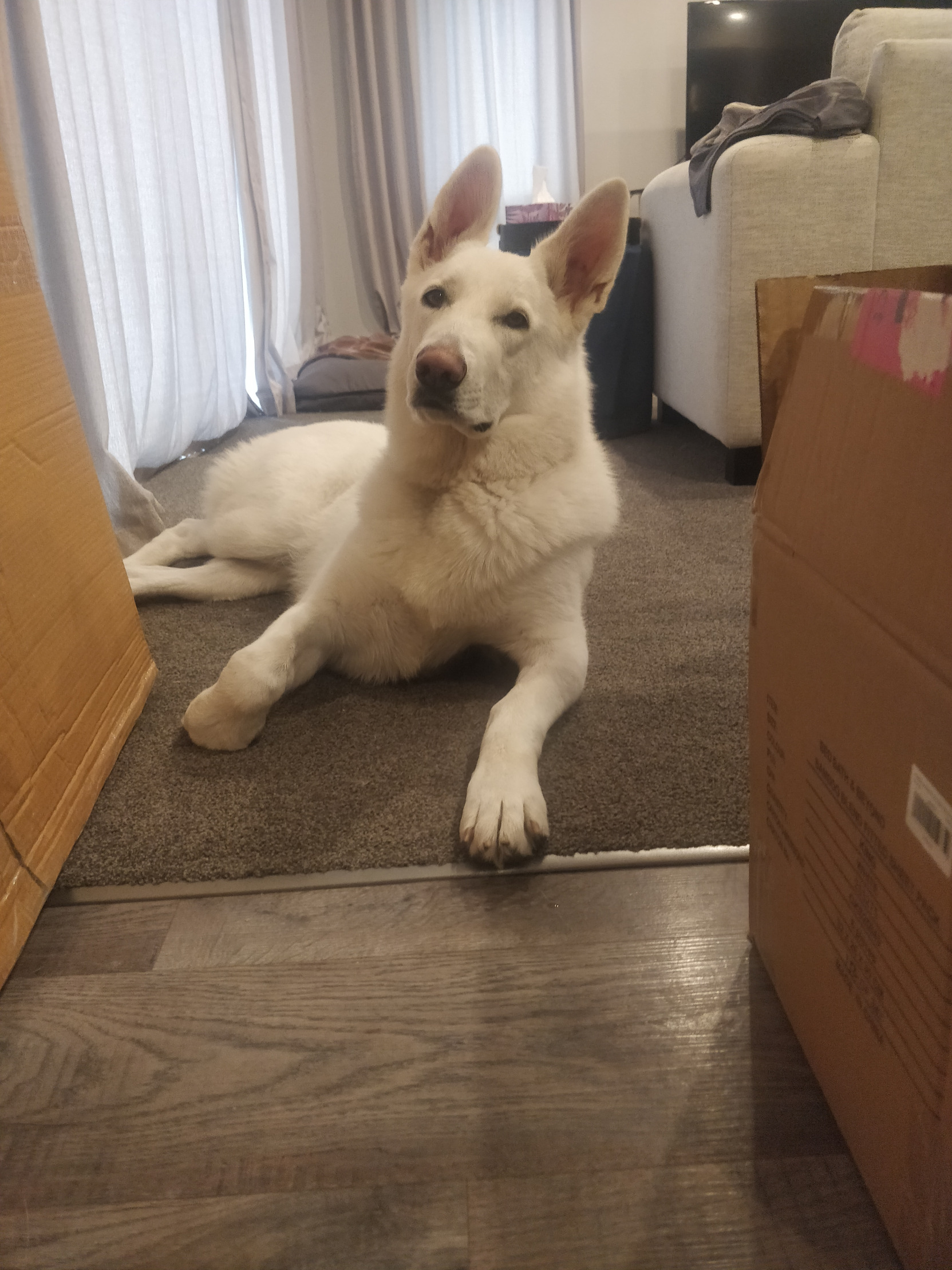 Ok Blank Meme Template