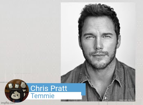 chris pratt mario | Chris Pratt; Temmie | image tagged in chris pratt mario | made w/ Imgflip meme maker