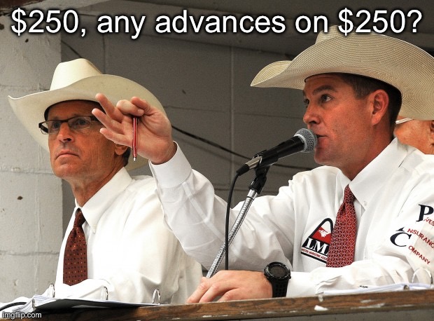Auctioneer | $250, any advances on $250? | image tagged in auctioneer | made w/ Imgflip meme maker