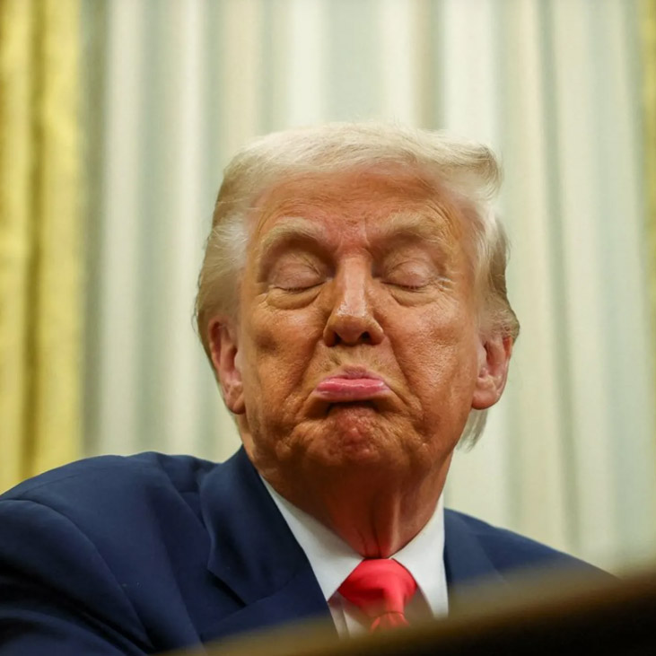 Sad Trump Blank Meme Template