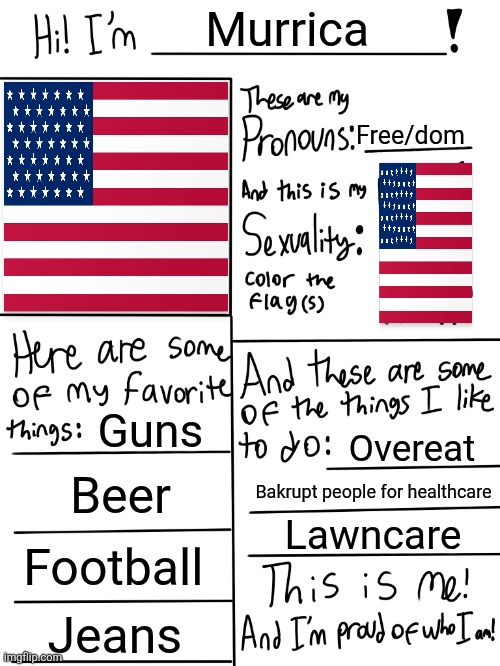 Lgbtq stream account profile | Murrica; Free/dom; Guns; Overeat; Beer; Bakrupt people for healthcare; Lawncare; Football; Jeans | image tagged in lgbtq stream account profile | made w/ Imgflip meme maker