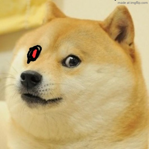 Doge Meme | image tagged in memes,doge | made w/ Imgflip meme maker