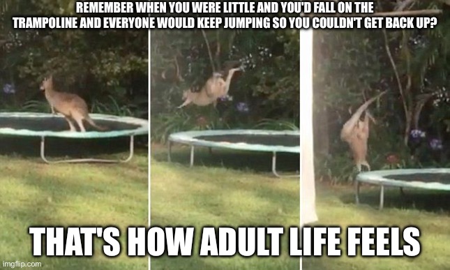 Adulthood is the worst hood to live in | REMEMBER WHEN YOU WERE LITTLE AND YOU'D FALL ON THE TRAMPOLINE AND EVERYONE WOULD KEEP JUMPING SO YOU COULDN'T GET BACK UP? THAT'S HOW ADULT LIFE FEELS | image tagged in kangaroo on a trampoline,adulting | made w/ Imgflip meme maker