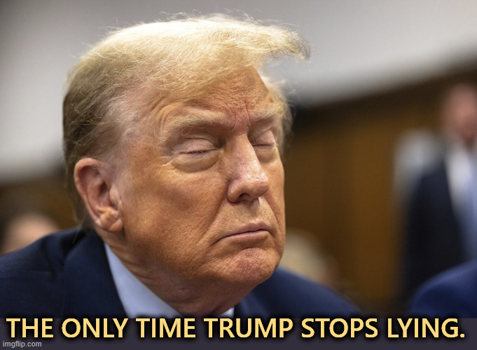 Aged senile demented Trump asleep in public | THE ONLY TIME TRUMP STOPS LYING. | image tagged in aged senile demented trump asleep in public,trump,senile,dementia,old,sleep | made w/ Imgflip meme maker