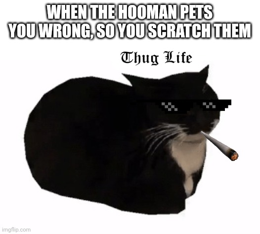 deal with it | WHEN THE HOOMAN PETS YOU WRONG, SO YOU SCRATCH THEM | image tagged in maxwell the cat,thug life | made w/ Imgflip meme maker