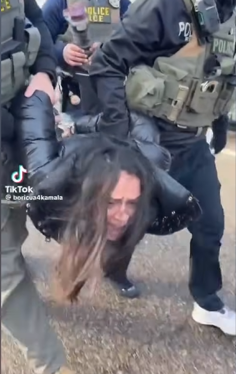 rioter carried by police Blank Meme Template