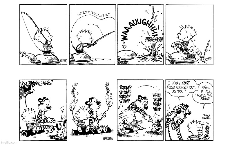 image tagged in calvin and hobbes,comics | made w/ Imgflip meme maker