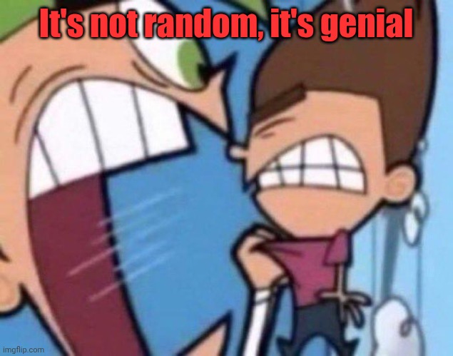 Cosmo yelling at timmy | It's not random, it's genial | image tagged in cosmo yelling at timmy | made w/ Imgflip meme maker