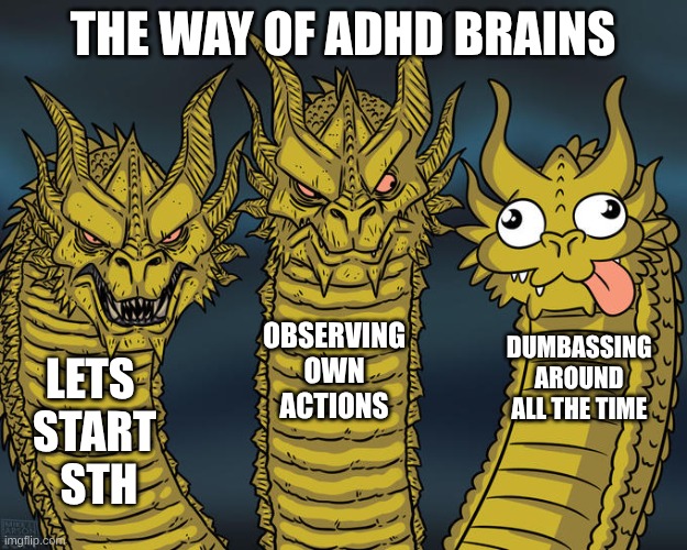 ADHD Brain | THE WAY OF ADHD BRAINS; OBSERVING
OWN
ACTIONS; DUMBASSING
AROUND ALL THE TIME; LETS 
START
 STH | image tagged in three-headed dragon | made w/ Imgflip meme maker