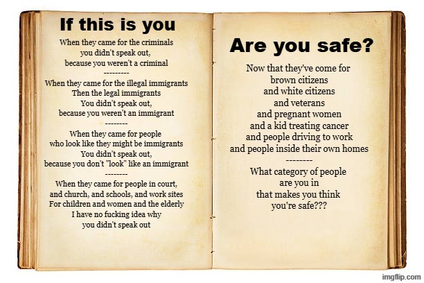 Do you think you're safe? | If this is you; Are you safe? | image tagged in immigrants,ice,police state,civil rights,human rights,maga | made w/ Imgflip meme maker