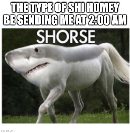 Why bruh | THE TYPE OF SHI HOMEY BE SENDING ME AT 2:00 AM | image tagged in shorse | made w/ Imgflip meme maker