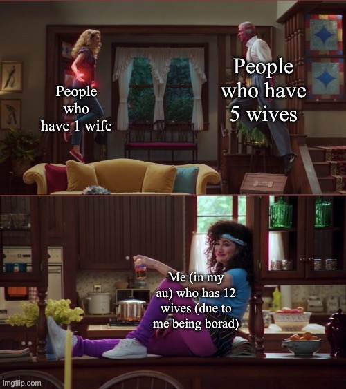 Lol | People who have 1 wife; People who have 5 wives; Me (in my au) who has 12 wives (due to me being borad) | image tagged in wanda/vision/agnes | made w/ Imgflip meme maker