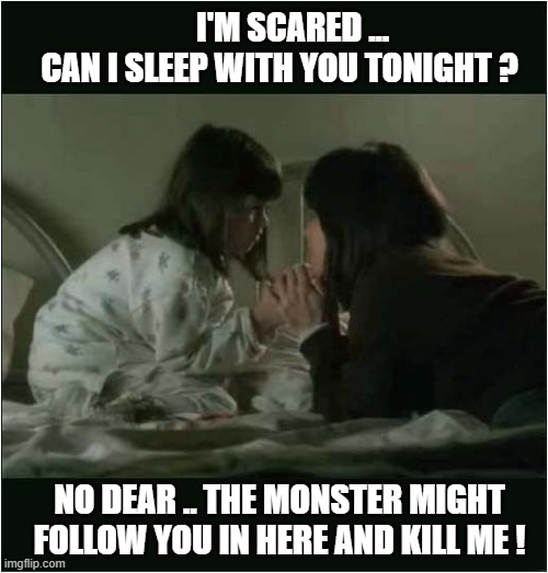 When There's A Monster Under Bed, What Do You Do ? | I'M SCARED ...
CAN I SLEEP WITH YOU TONIGHT ? NO DEAR .. THE MONSTER MIGHT FOLLOW YOU IN HERE AND KILL ME ! | image tagged in monster under the bed | made w/ Imgflip meme maker