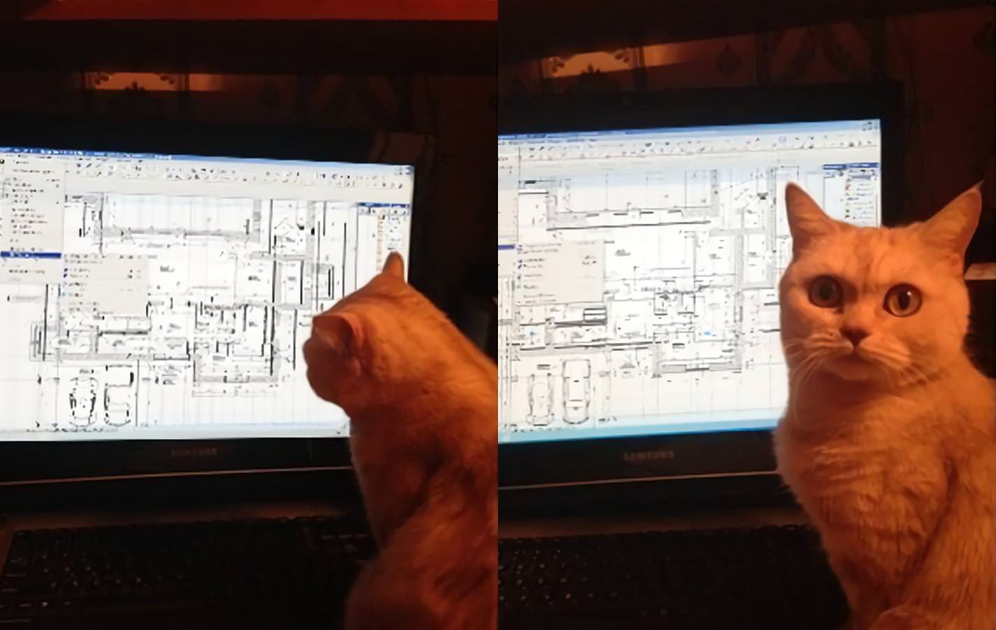 technical worried cat & schematics Blank Meme Template