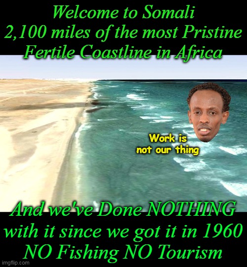 These are the people we cannot do without | Welcome to Somali
2,100 miles of the most Pristine Fertile Coastline in Africa; Work is not our thing; And we've Done NOTHING with it since we got it in 1960
NO Fishing NO Tourism | image tagged in somali coastline meme | made w/ Imgflip meme maker