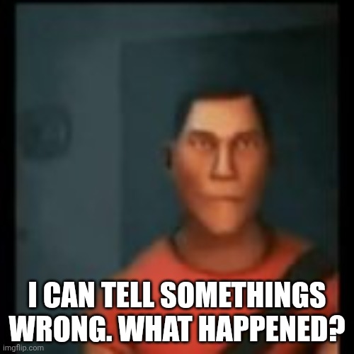 Disappointed Scout | I CAN TELL SOMETHINGS WRONG. WHAT HAPPENED? | image tagged in disappointed scout | made w/ Imgflip meme maker