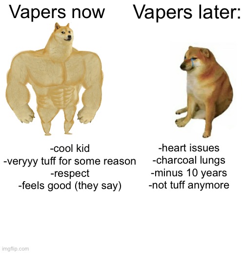 lol so tuff indeed | Vapers later:; Vapers now; -heart issues
-charcoal lungs
-minus 10 years
-not tuff anymore; -cool kid
-veryyy tuff for some reason
-respect
-feels good (they say) | image tagged in memes,buff doge vs cheems,vaping,gifs,funny memes,funny | made w/ Imgflip meme maker