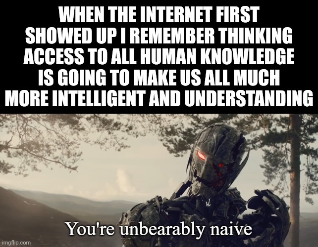 *sigh | WHEN THE INTERNET FIRST SHOWED UP I REMEMBER THINKING ACCESS TO ALL HUMAN KNOWLEDGE IS GOING TO MAKE US ALL MUCH MORE INTELLIGENT AND UNDERSTANDING | image tagged in you're unbearably naive,sigh,naive,faith in humanity,people,oh well | made w/ Imgflip meme maker