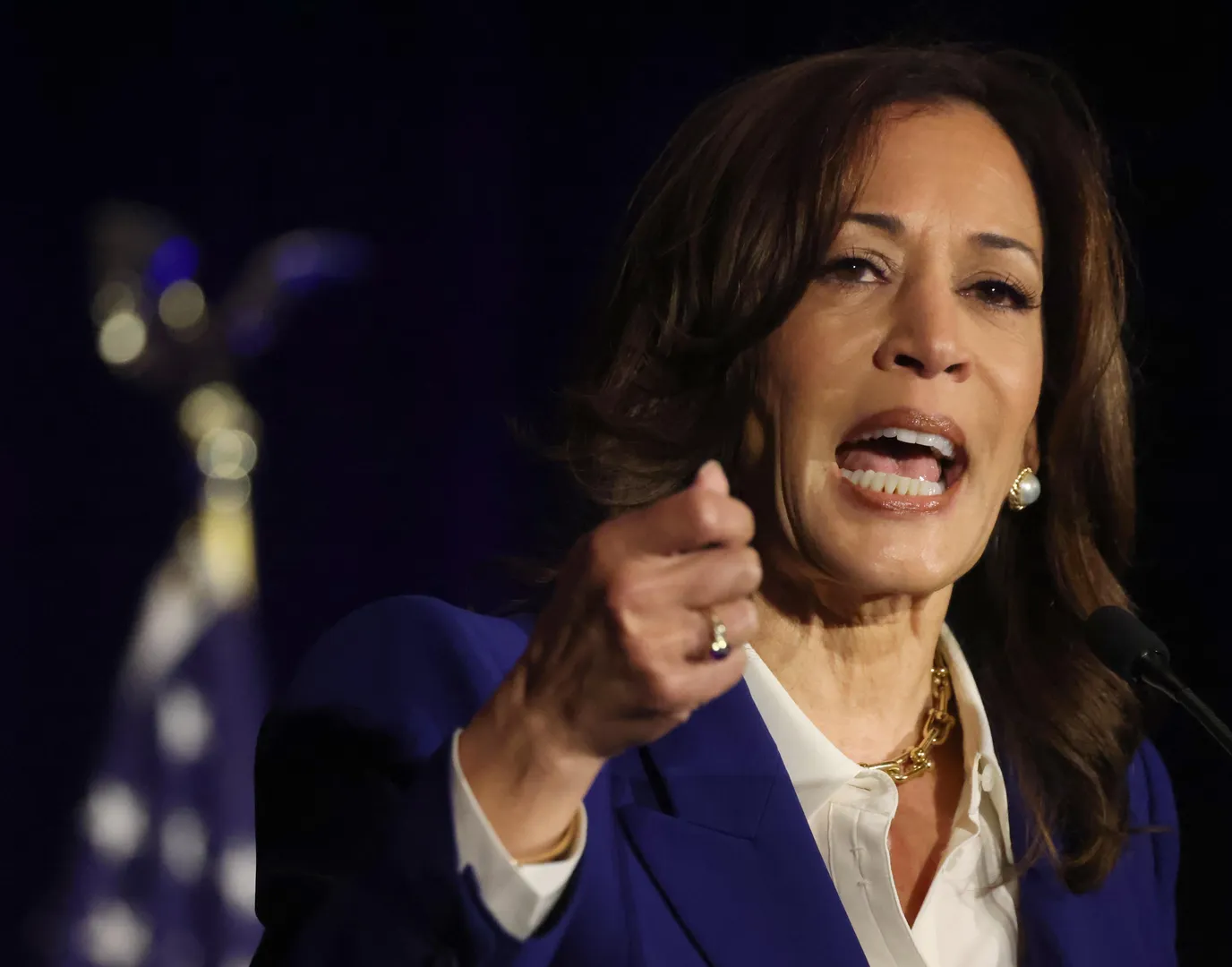 Kamala Harris Blank Meme Template