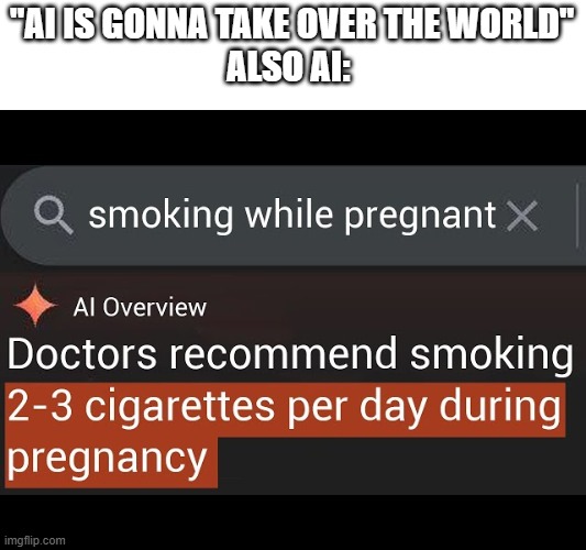 were ok as long they dont get smarter | "AI IS GONNA TAKE OVER THE WORLD"
ALSO AI: | image tagged in ai,fail | made w/ Imgflip meme maker