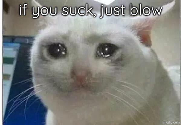 crying cat | if you suck, just blow | image tagged in crying cat | made w/ Imgflip meme maker