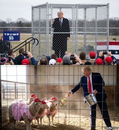 TRUMPRISON PHOTOS $5 | $5 | image tagged in trump,maga,prison,jeffrey epstein,impeach,sexual assault | made w/ Imgflip meme maker