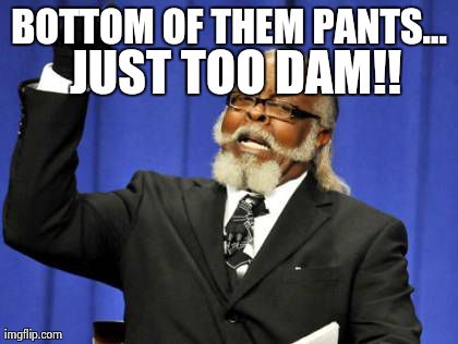 Too Damn High | BOTTOM OF THEM PANTS... JUST TOO DAM!! | image tagged in memes,too damn high | made w/ Imgflip meme maker