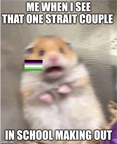 AAAAAAAAAHHHHHHH!!!! | ME WHEN I SEE THAT ONE STRAIT COUPLE; IN SCHOOL MAKING OUT | image tagged in scared hamster | made w/ Imgflip meme maker
