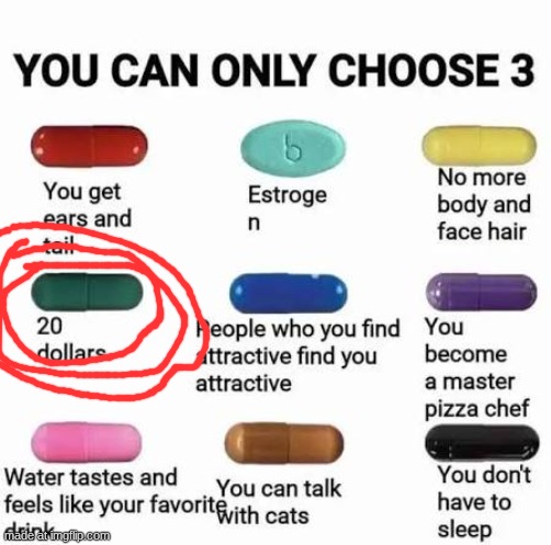 20 dollars is 20 dollars | image tagged in you can only choose 3 | made w/ Imgflip meme maker