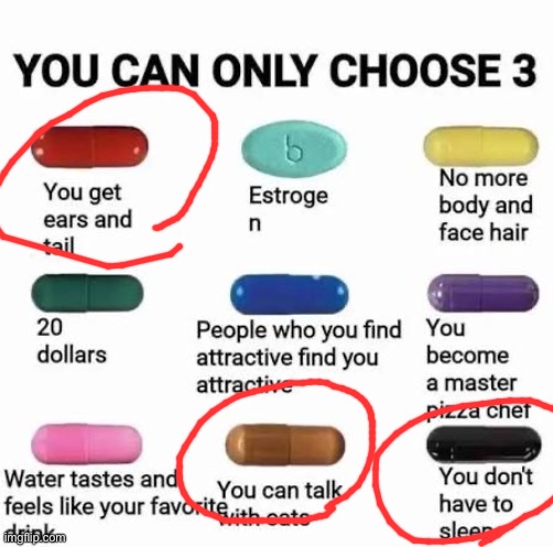 you can only choose 3 | image tagged in you can only choose 3 | made w/ Imgflip meme maker