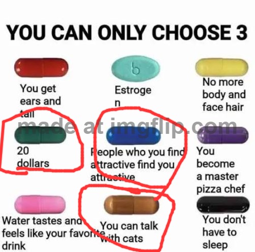 you can only choose 3 | image tagged in you can only choose 3 | made w/ Imgflip meme maker