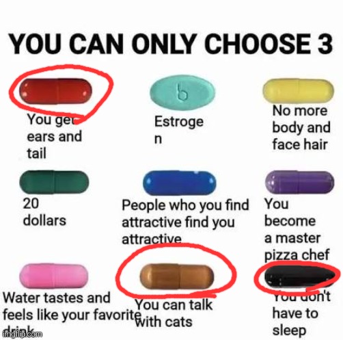 you can only choose 3 | image tagged in you can only choose 3 | made w/ Imgflip meme maker