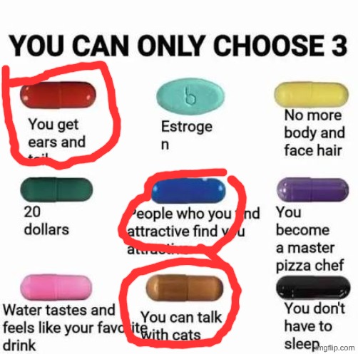you can only choose 3 | image tagged in you can only choose 3 | made w/ Imgflip meme maker