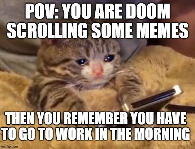 how i feel every night | POV: YOU ARE DOOM SCROLLING SOME MEMES; THEN YOU REMEMBER YOU HAVE TO GO TO WORK IN THE MORNING | image tagged in sad cat phone | made w/ Imgflip meme maker