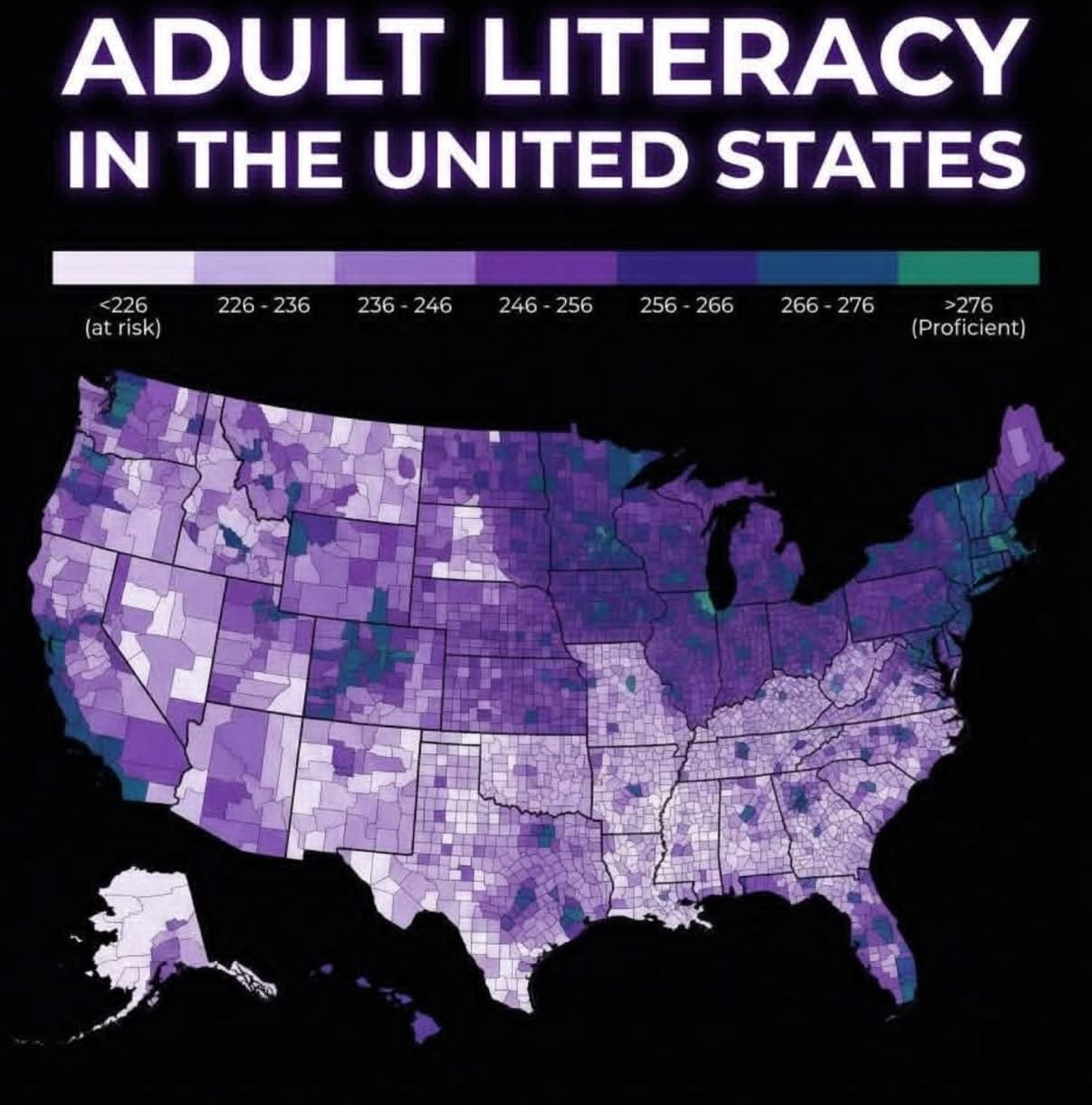 adult literacy in the United States Blank Meme Template