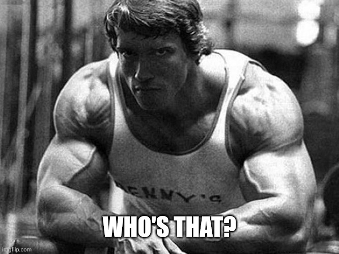 Arnold Schwarzenegger | WHO'S THAT? | image tagged in arnold schwarzenegger | made w/ Imgflip meme maker