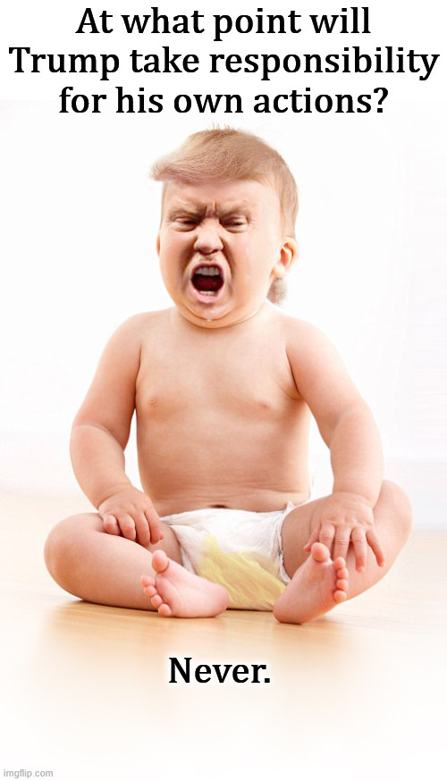 Never has, never will. | At what point will Trump take responsibility for his own actions? Never. | image tagged in donald trump infant in wet diaper,trump,failure,alibi,excuses,accusations | made w/ Imgflip meme maker