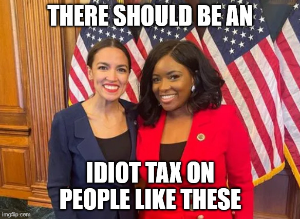 AOC CROCKETT IDIOT TAX | THERE SHOULD BE AN; IDIOT TAX ON PEOPLE LIKE THESE | image tagged in aoc crockett,aoc,liberal,democrat,progressive,memes | made w/ Imgflip meme maker