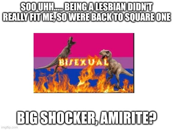 uh yeah..... | SOO UHH..... BEING A LESBIAN DIDN'T REALLY FIT ME, SO WERE BACK TO SQUARE ONE; BIG SHOCKER, AMIRITE? | image tagged in blank white template | made w/ Imgflip meme maker