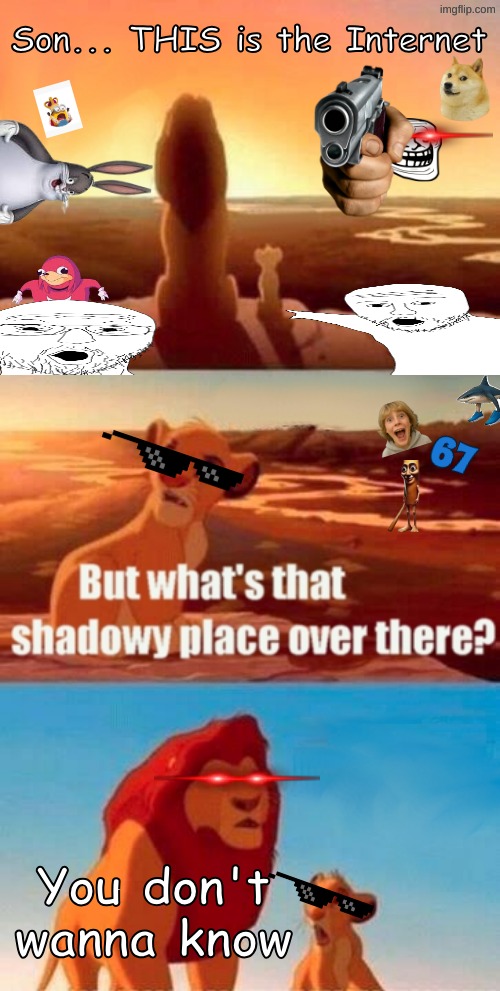 THIS is the REAL Internet | Son... THIS is the Internet; You don't wanna know | image tagged in memes,simba shadowy place,great meme reset,funny | made w/ Imgflip meme maker