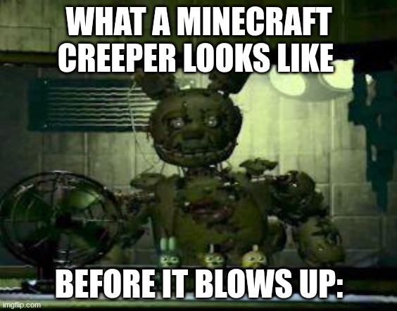 creeper | WHAT A MINECRAFT CREEPER LOOKS LIKE; BEFORE IT BLOWS UP: | image tagged in fnaf springtrap in window | made w/ Imgflip meme maker