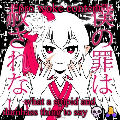 garfield fan is off his rocker | "pro woke content"; what a stupid and dumbass thing to say 💀🙏 | image tagged in dragnoc | made w/ Imgflip meme maker