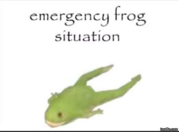 Emergency Frog situation | image tagged in emergency frog situation | made w/ Imgflip meme maker