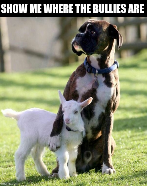 Show Me Where The Bullies Are | SHOW ME WHERE THE BULLIES ARE | image tagged in chrisjoines1 | made w/ Imgflip meme maker