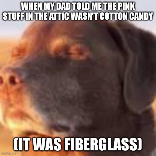 Fiberglass meme | WHEN MY DAD TOLD ME THE PINK STUFF IN THE ATTIC WASN’T COTTON CANDY; (IT WAS FIBERGLASS) | image tagged in dog | made w/ Imgflip meme maker