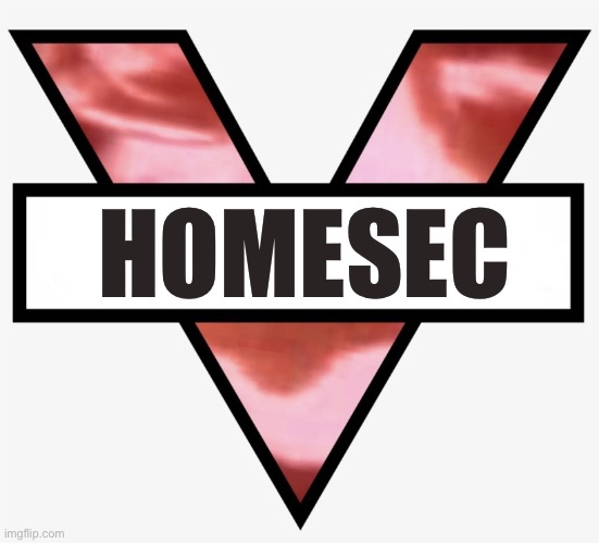 INGSOC HOMESEC | HOMESEC | image tagged in ingsoc homesec,homeland security | made w/ Imgflip meme maker