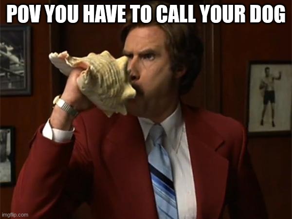 Dog | POV YOU HAVE TO CALL YOUR DOG | image tagged in news team assemble,dogs,dog,doggo,dog memes | made w/ Imgflip meme maker